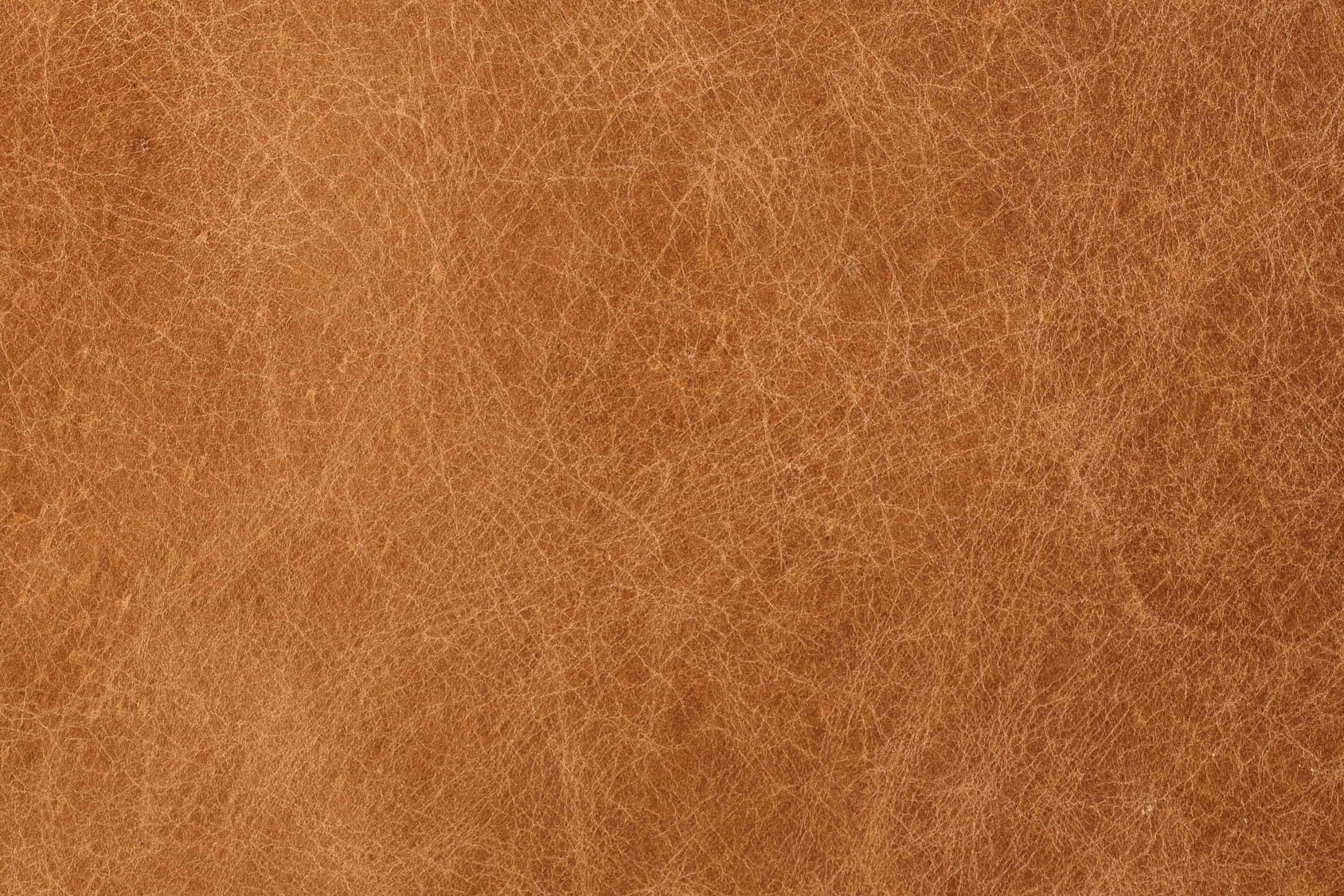 Argan Leather Sofa - Image 18