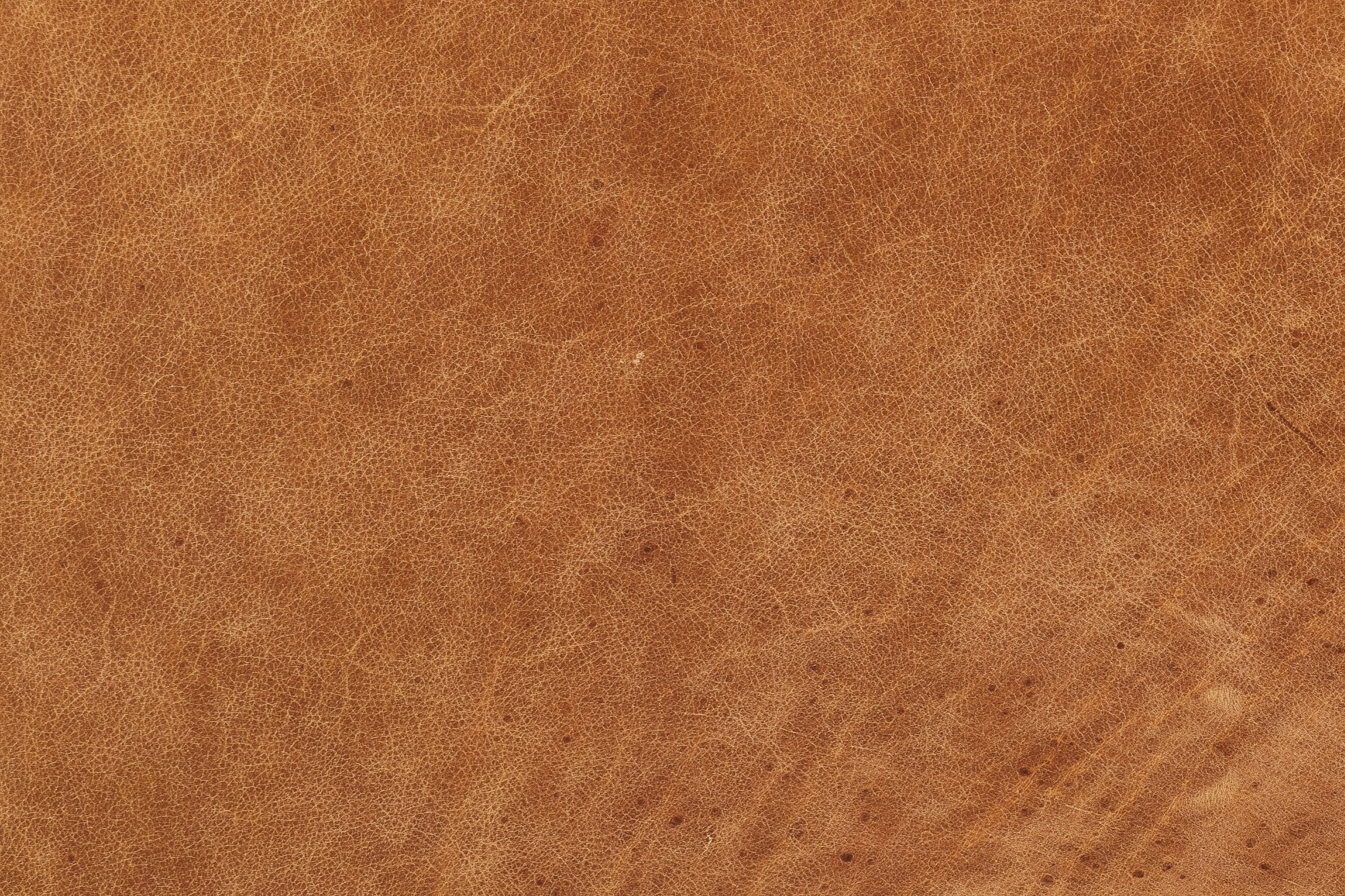 Argan Leather Sofa - Image 19