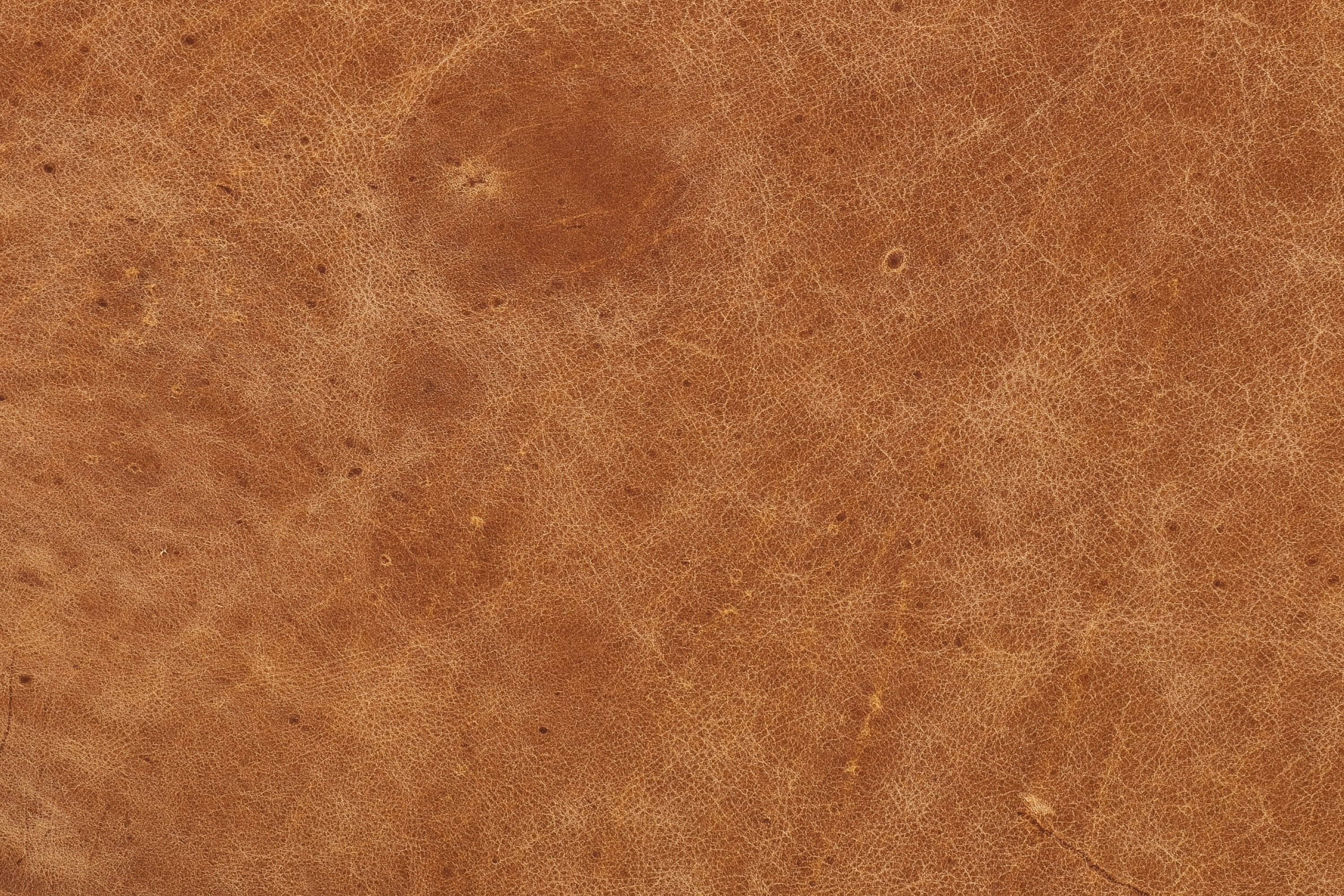 Argan Leather Sofa - Image 20