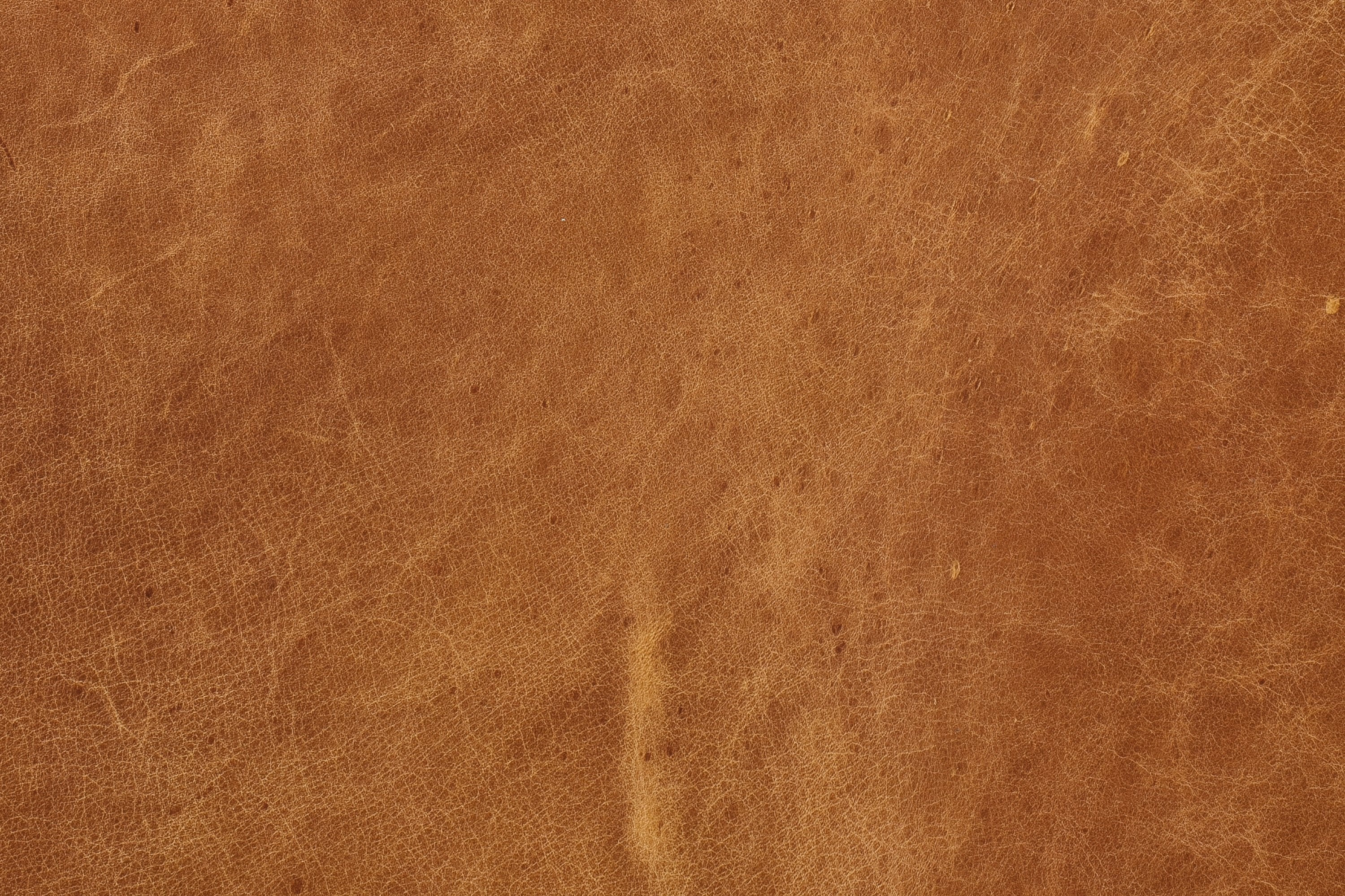 Argan Leather Sofa - Image 21