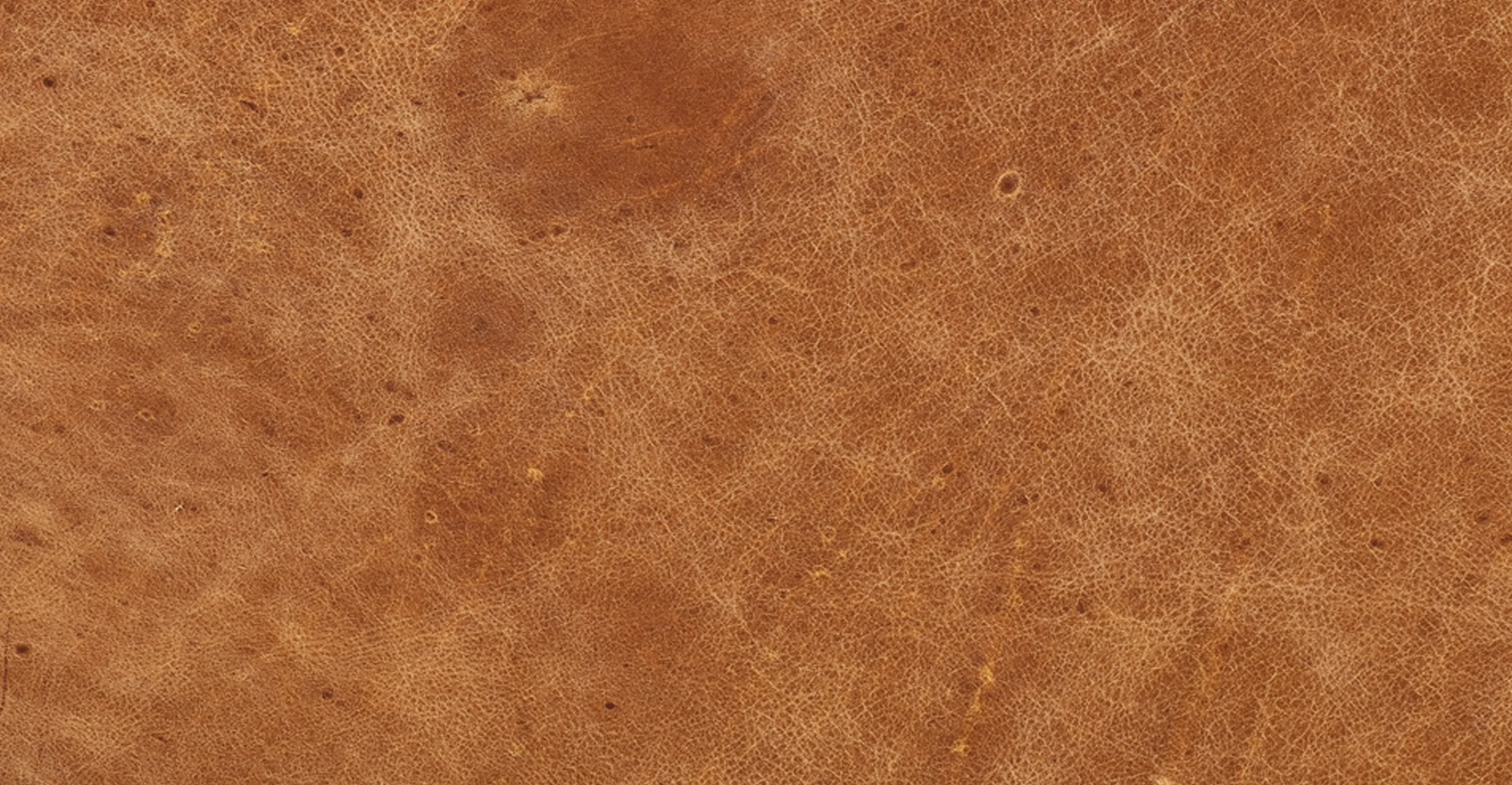 Denver Leather Ottoman - Image 17
