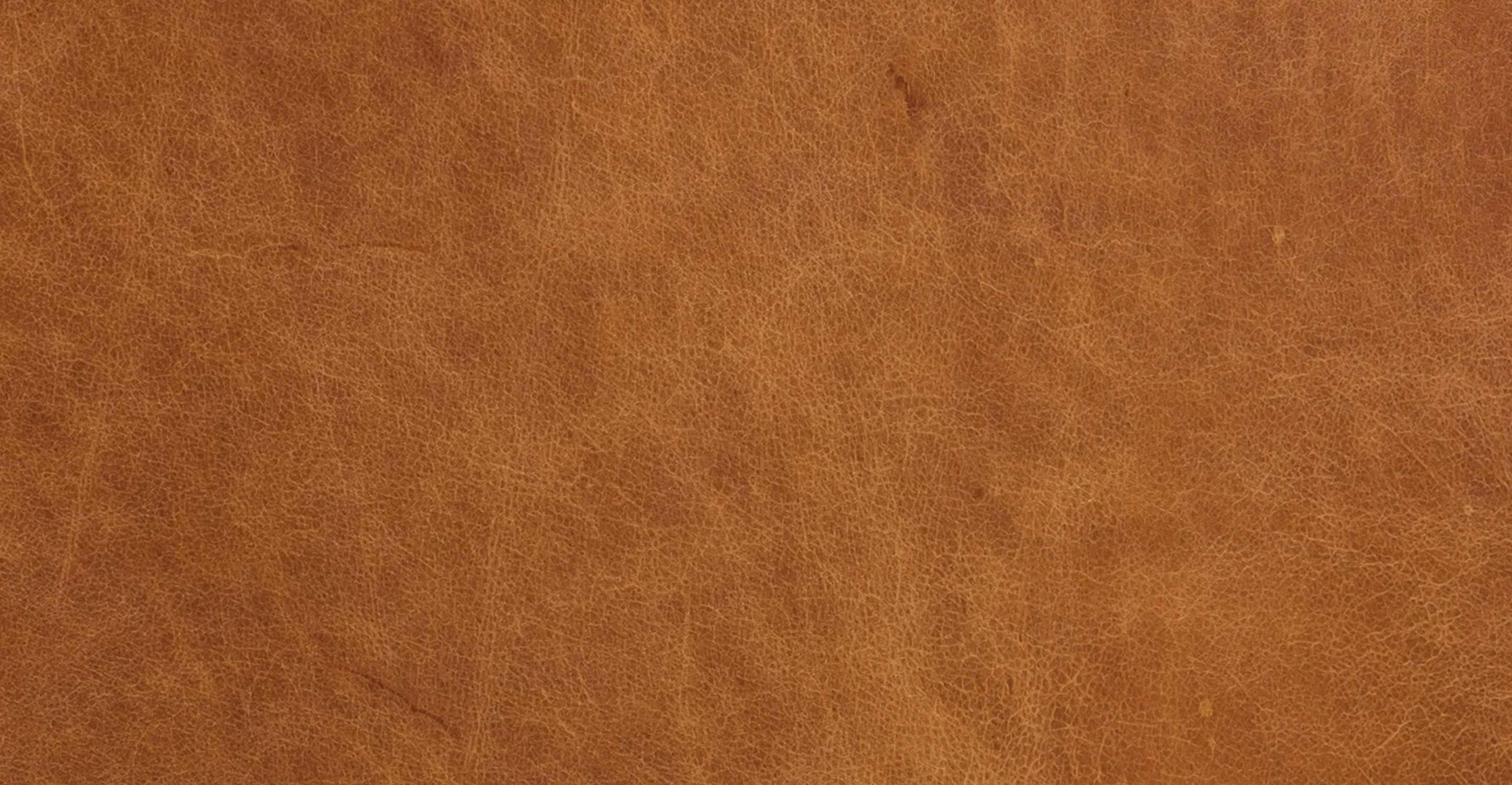 Essex Sofa - Image 13