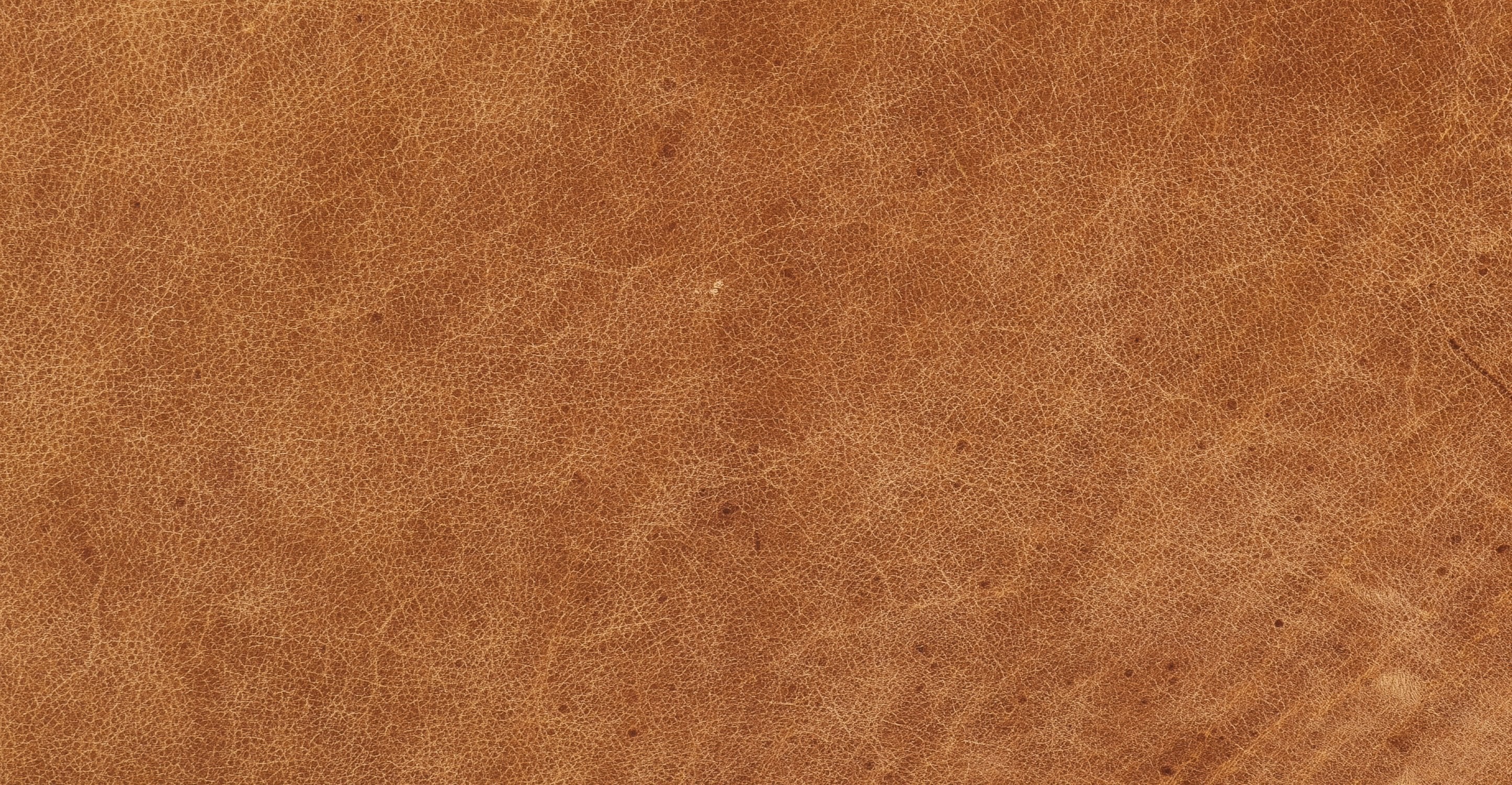 Essex Sofa - Image 18