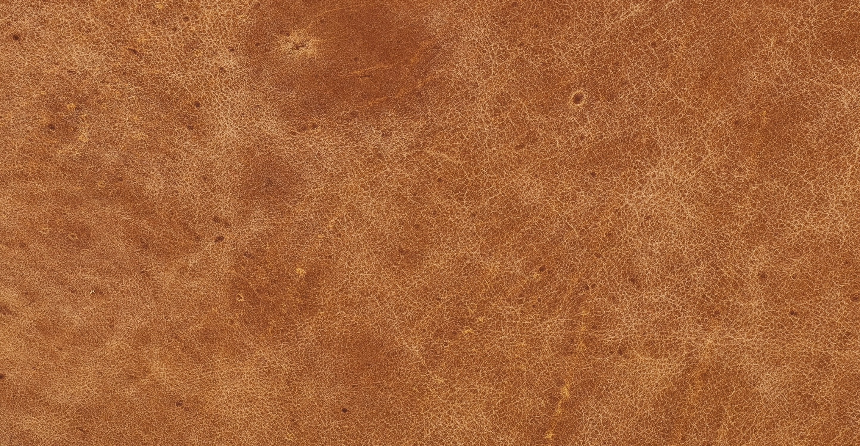 Essex Sofa - Image 19
