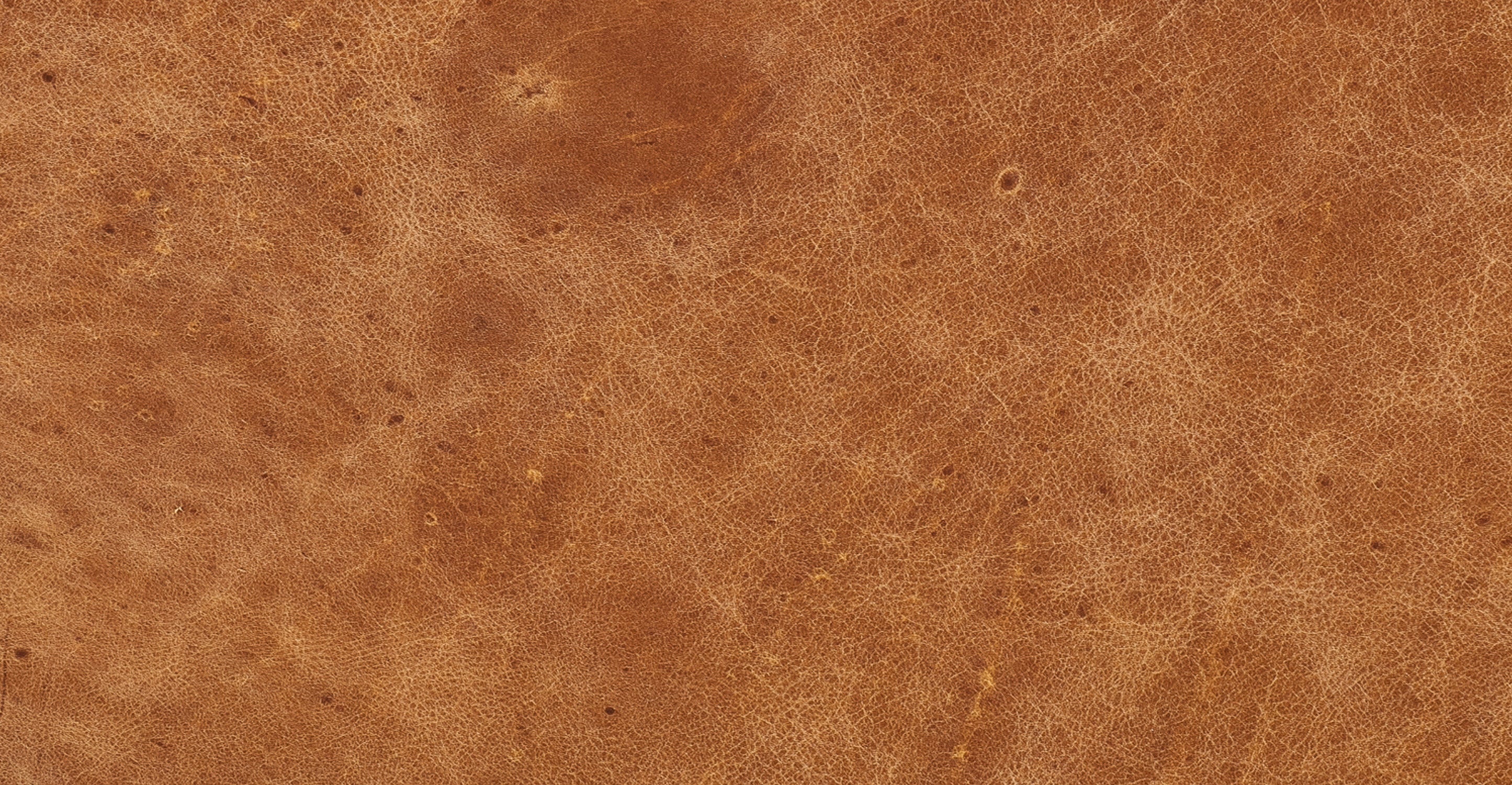 Jasper Daybed - Image 18