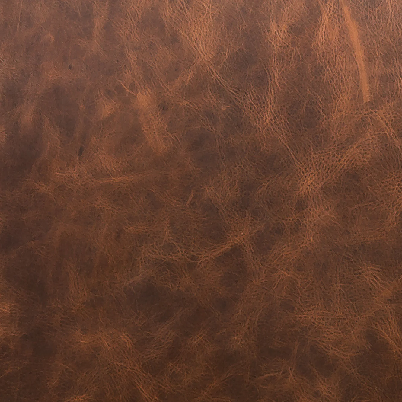 Italian Tanned Leather Swatches - Image 10