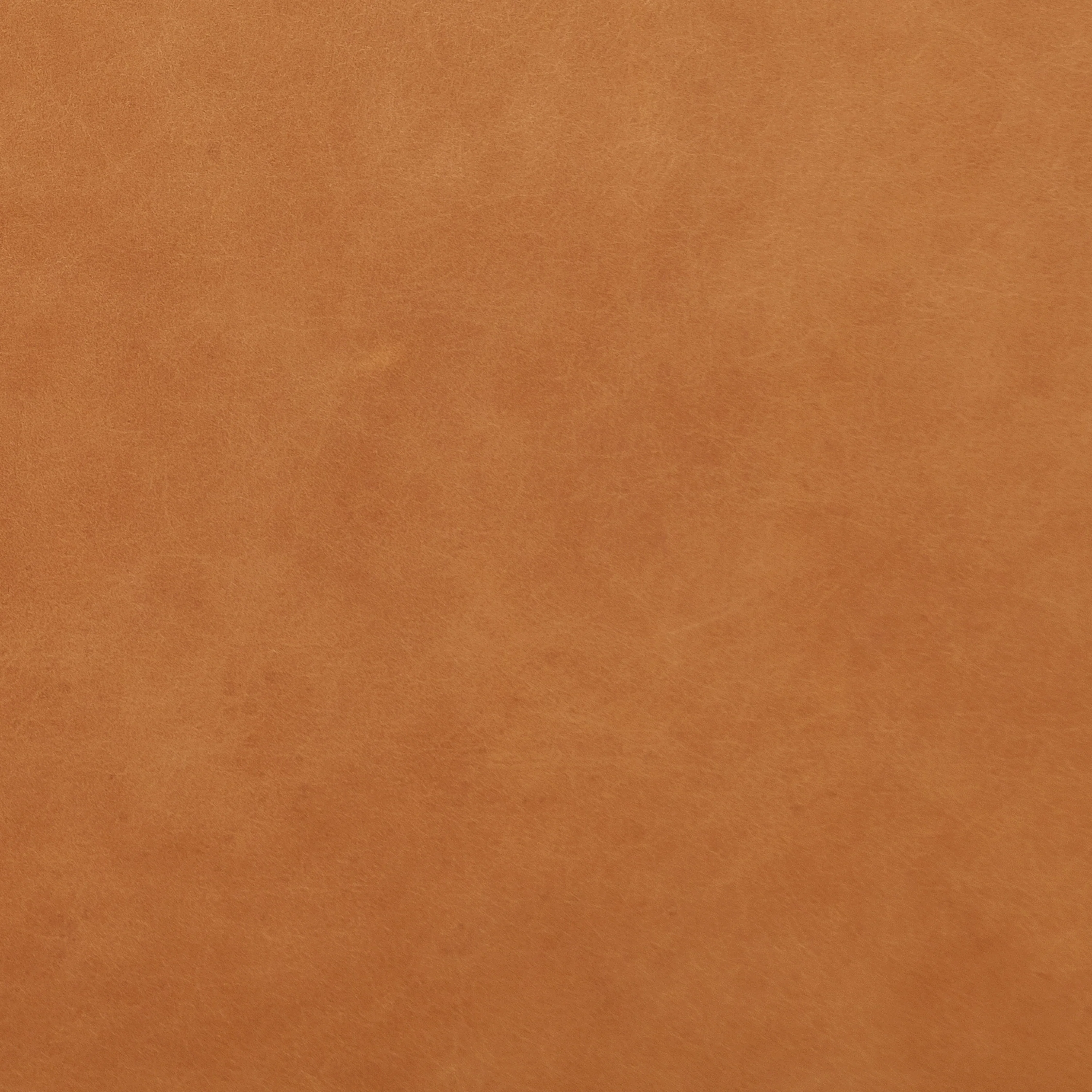 Italian Tanned Leather Swatches - Image 15