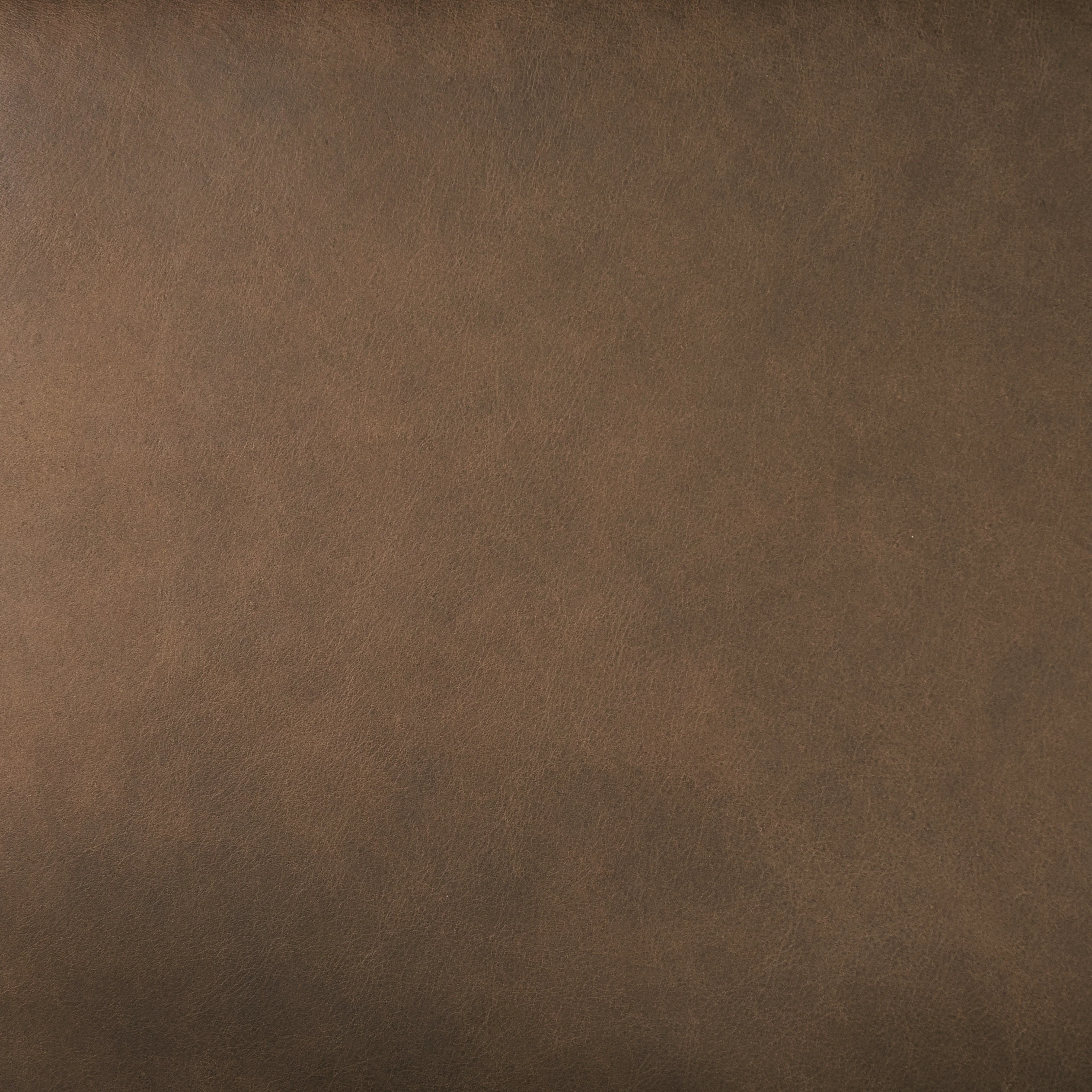 Italian Tanned Leather Swatches - Image 17