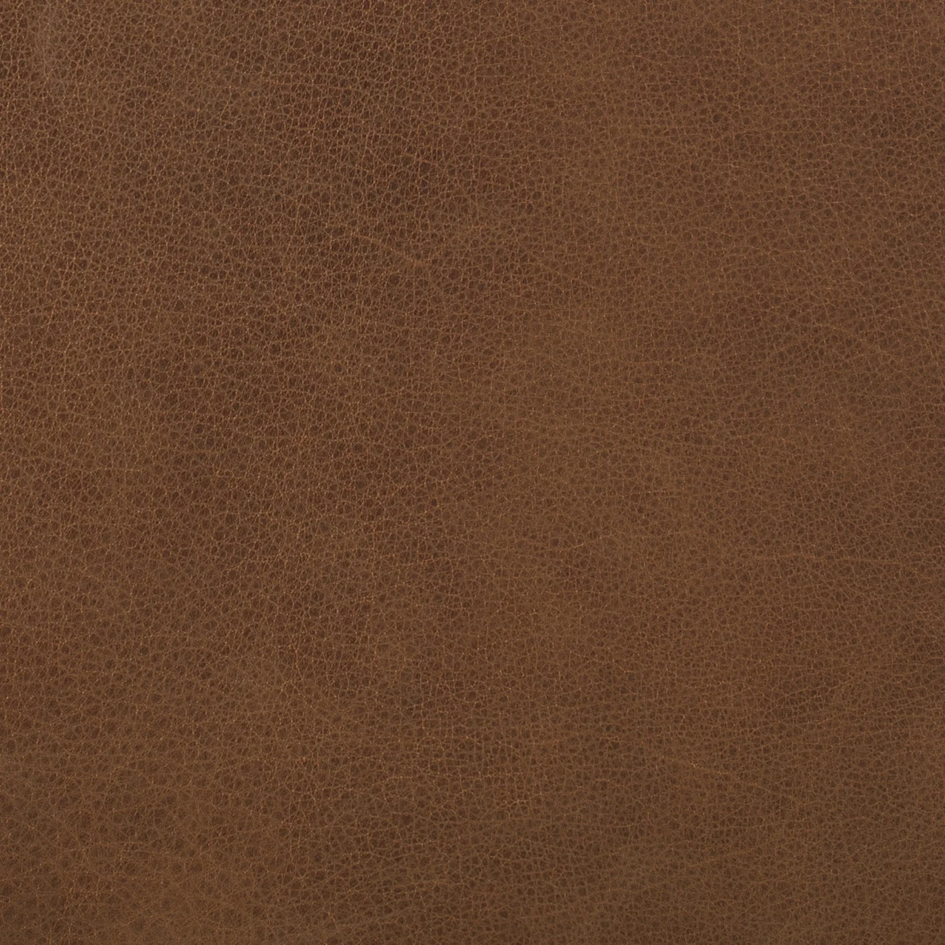Italian Tanned Leather Swatches - Image 6