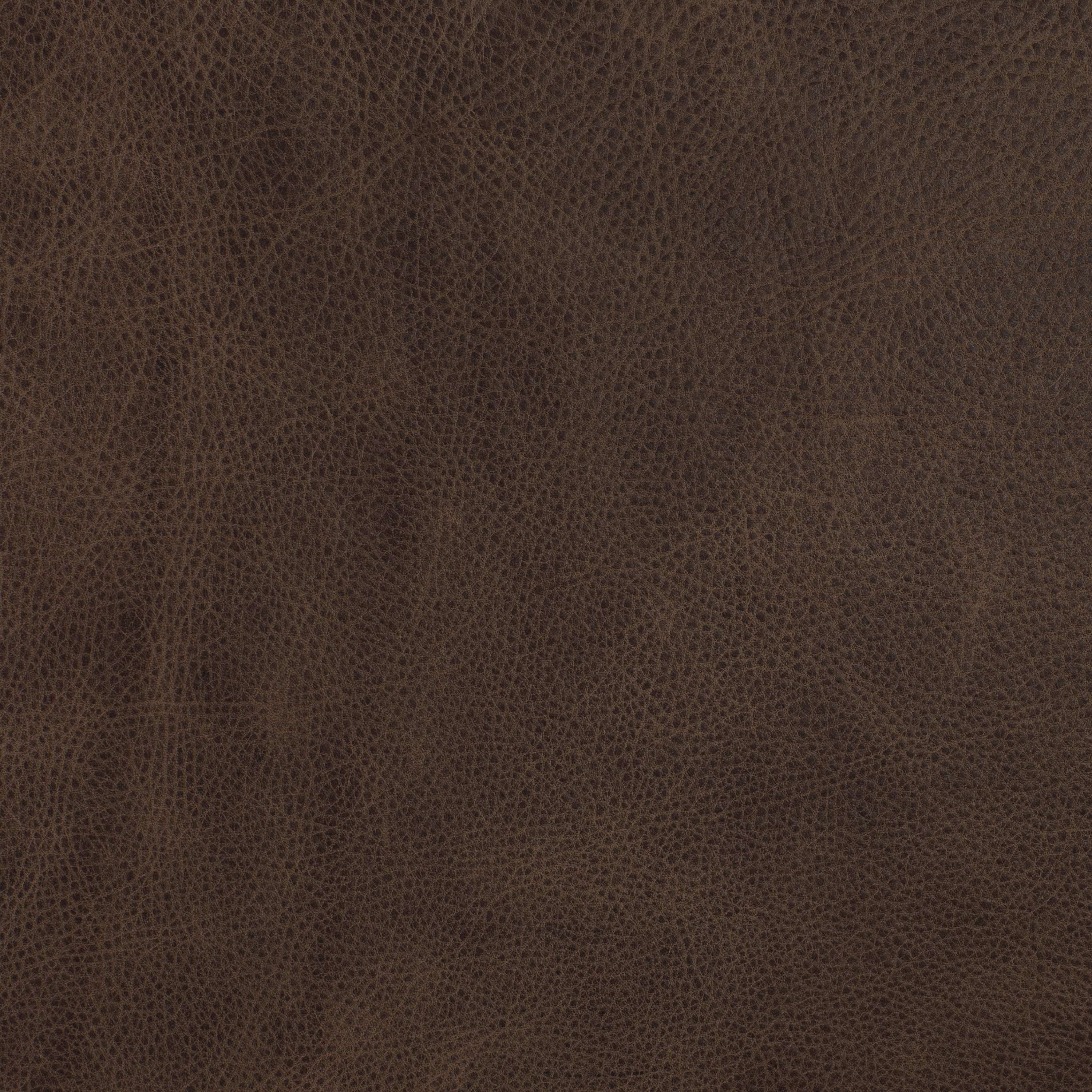 Italian Tanned Leather Swatches - Image 9