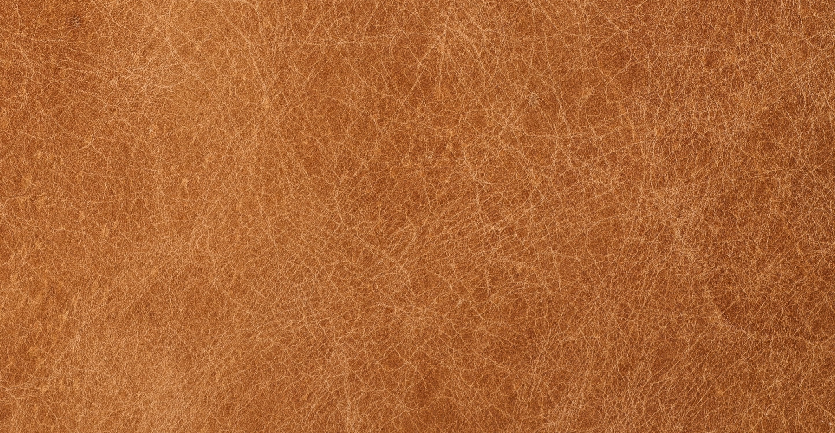 Lyon Lounge Chair - Image 15