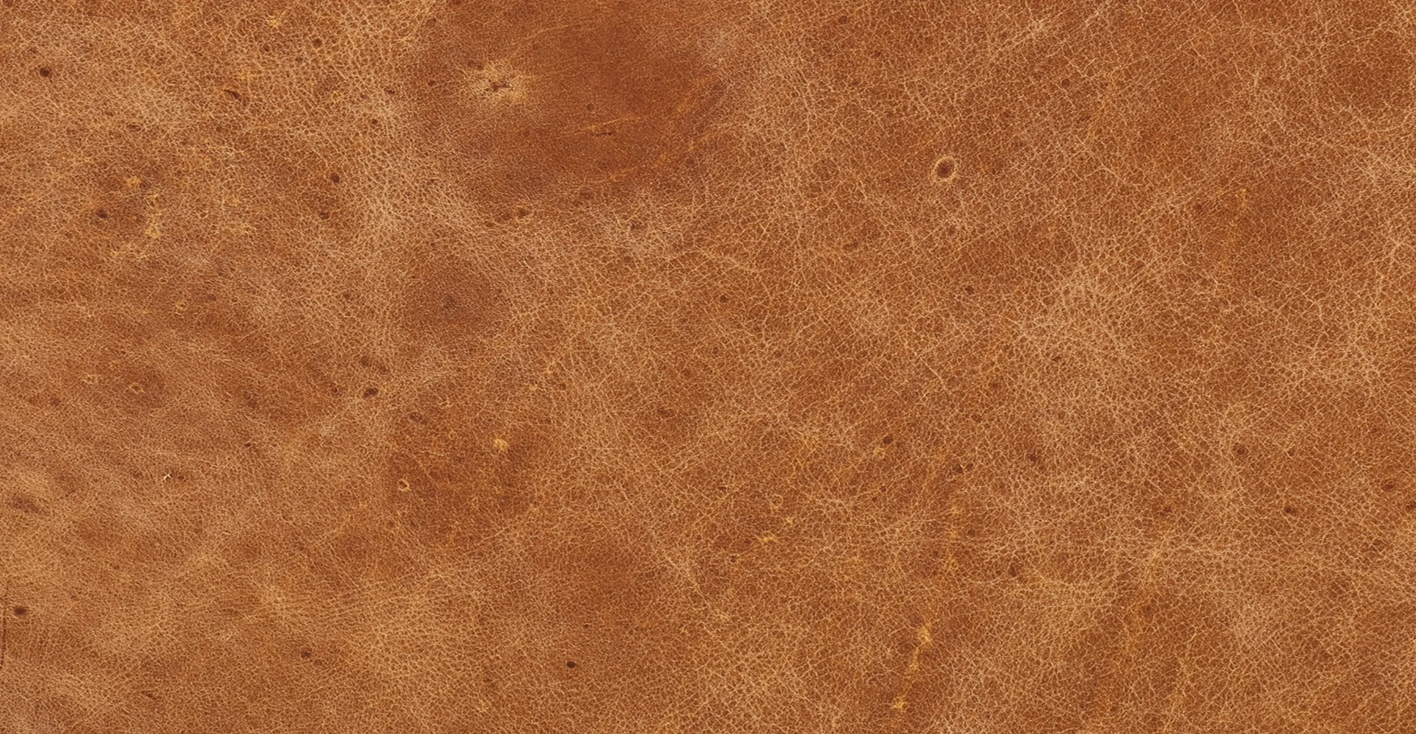 Porto Ottoman - Image 12