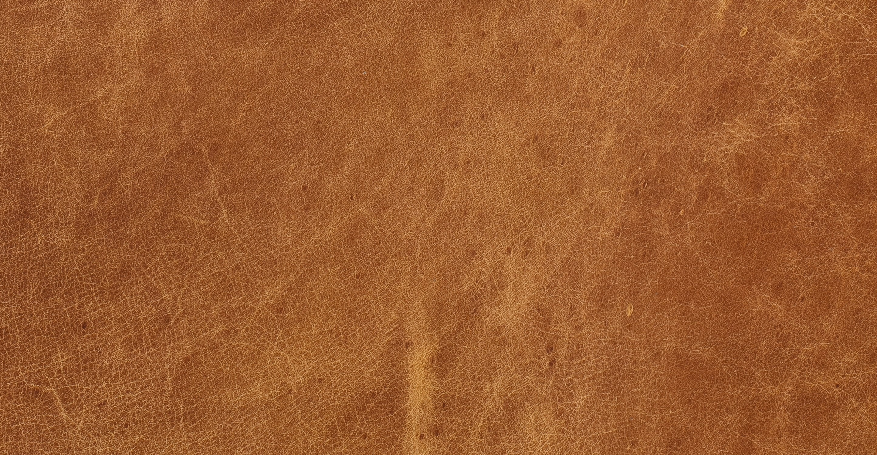 Rowan Lounge Chair - Image 17